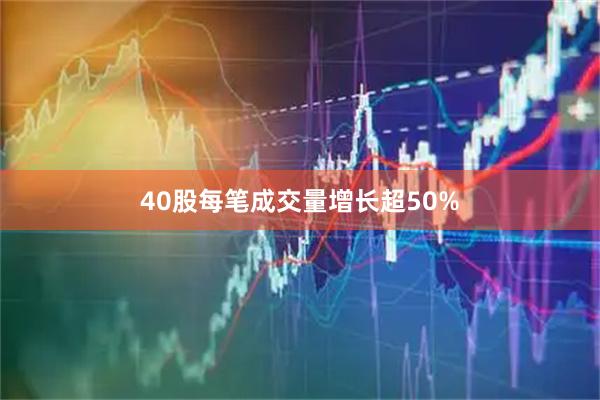 40股每笔成交量增长超50%