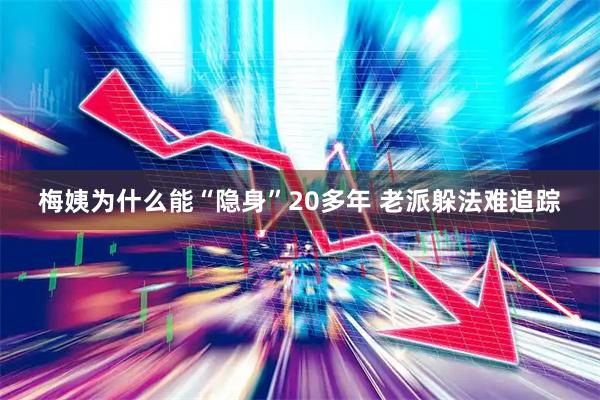梅姨为什么能“隐身”20多年 老派躲法难追踪